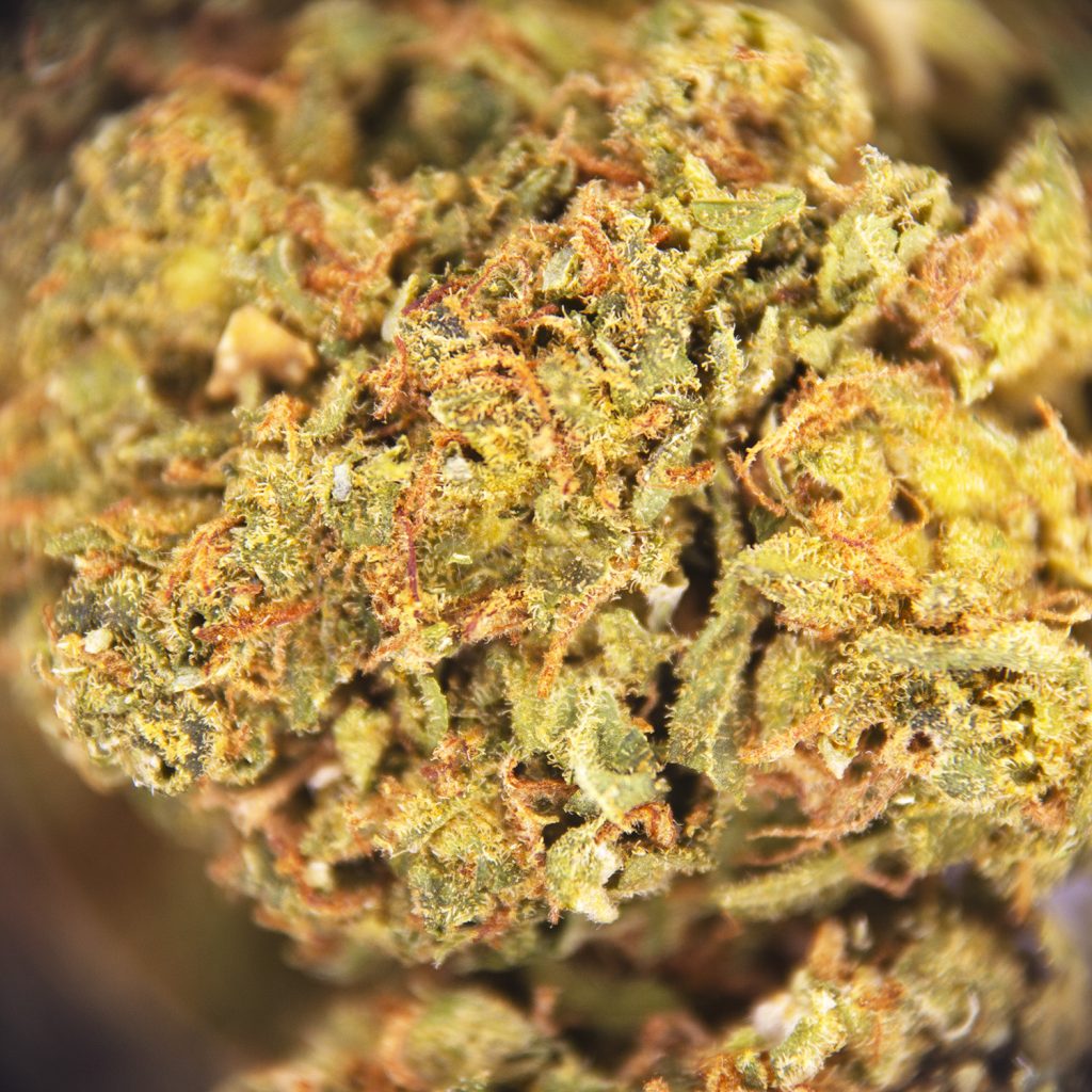 Rocket Chronic