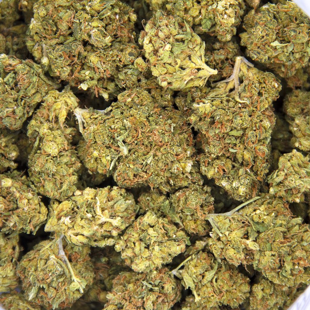 Rocket Chronic