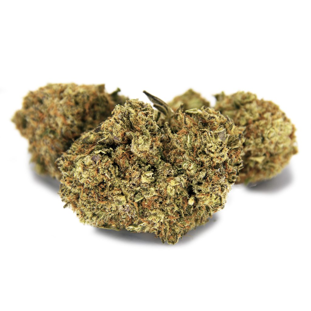 Rocket Chronic
