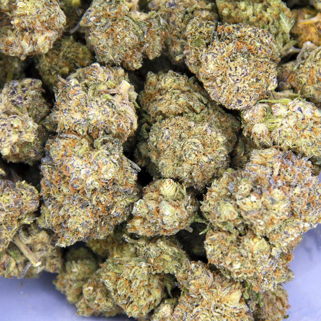 Rocket Chronic