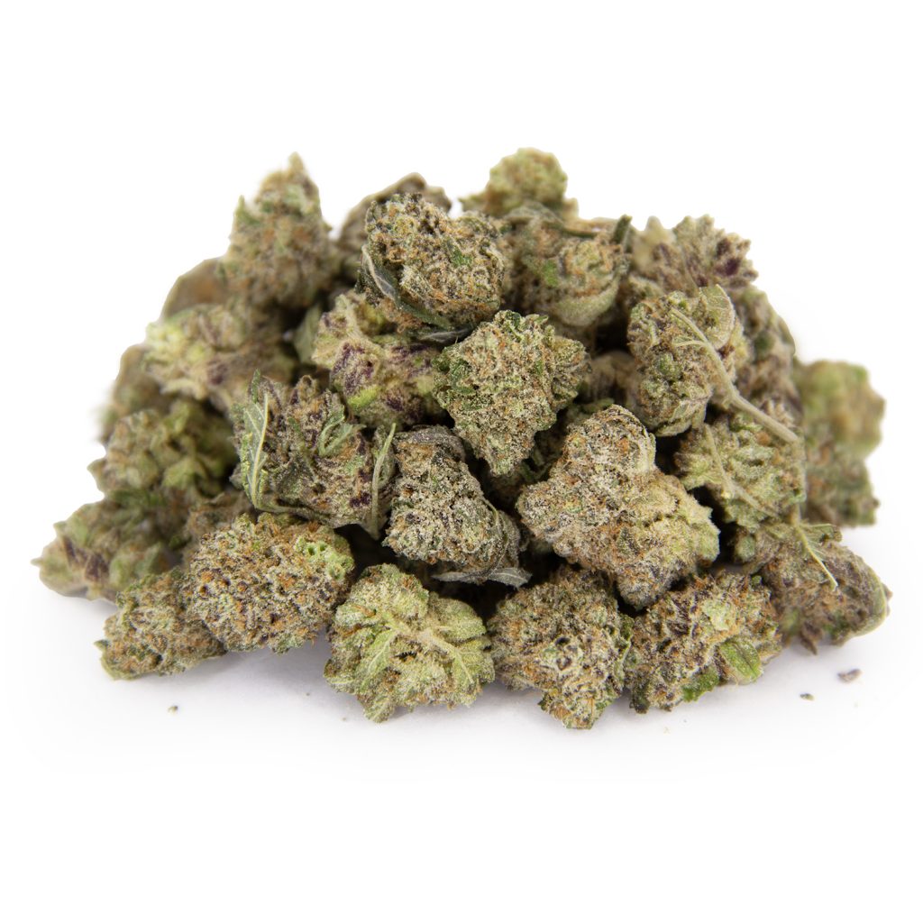 Rocket Chronic