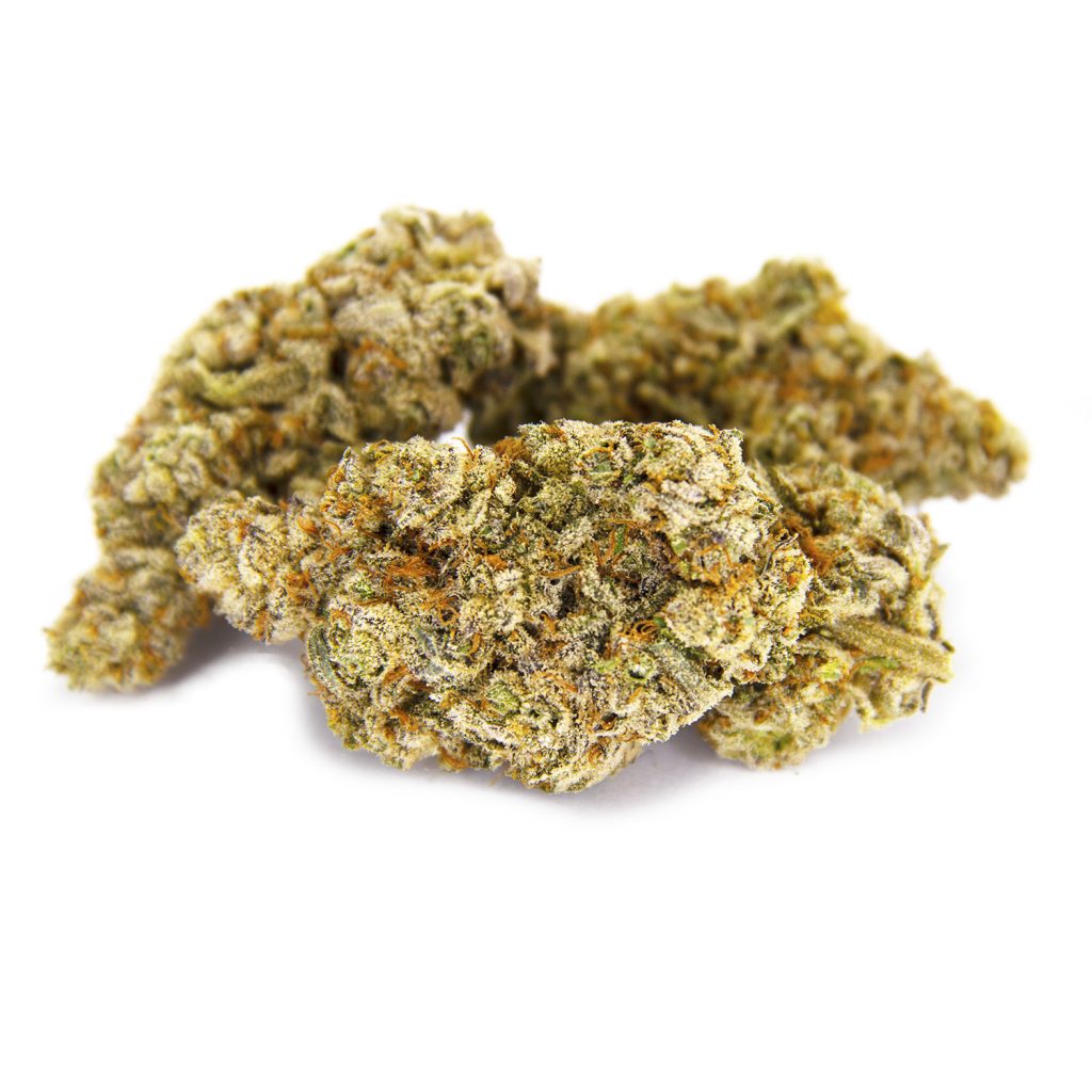 Rocket Chronic