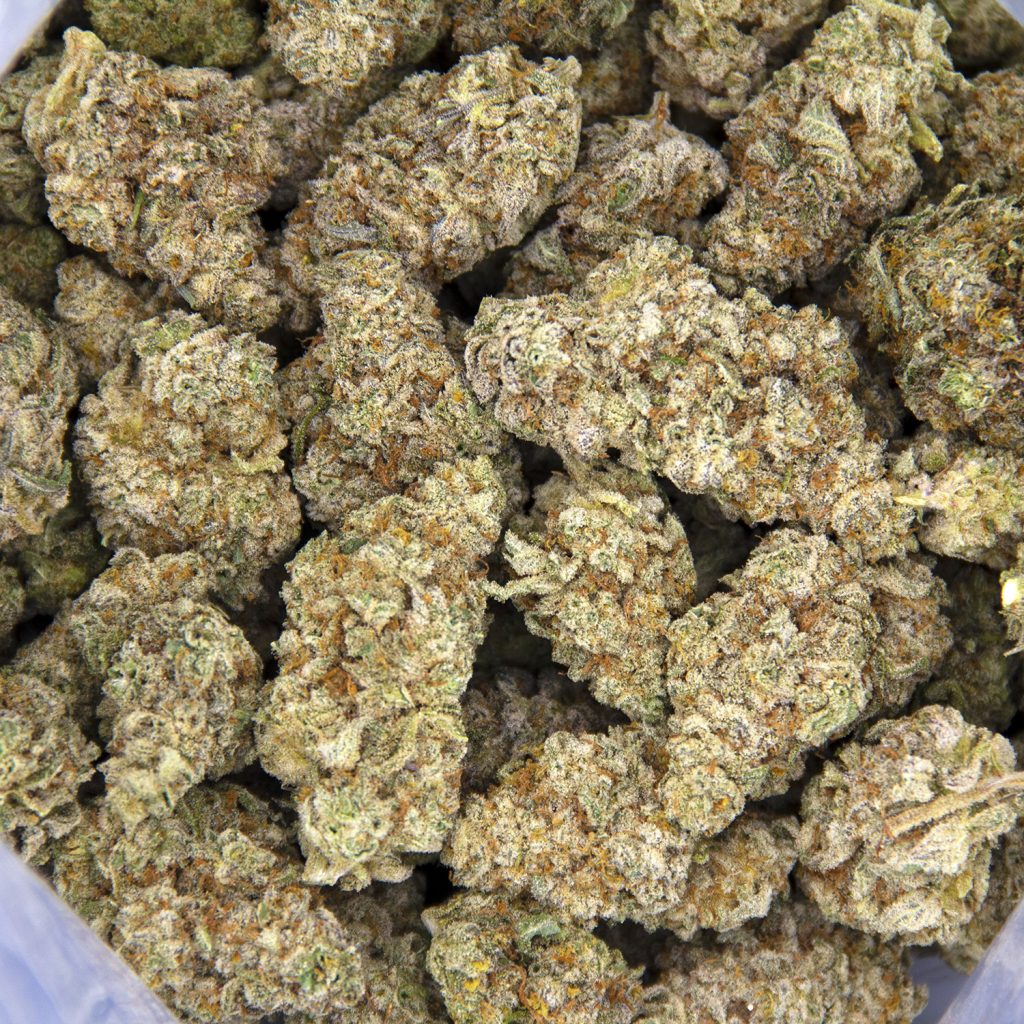 Rocket Chronic