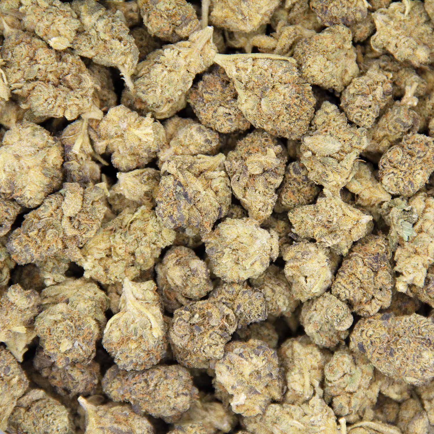 Caramel Cake (smalls) AA - Image 3