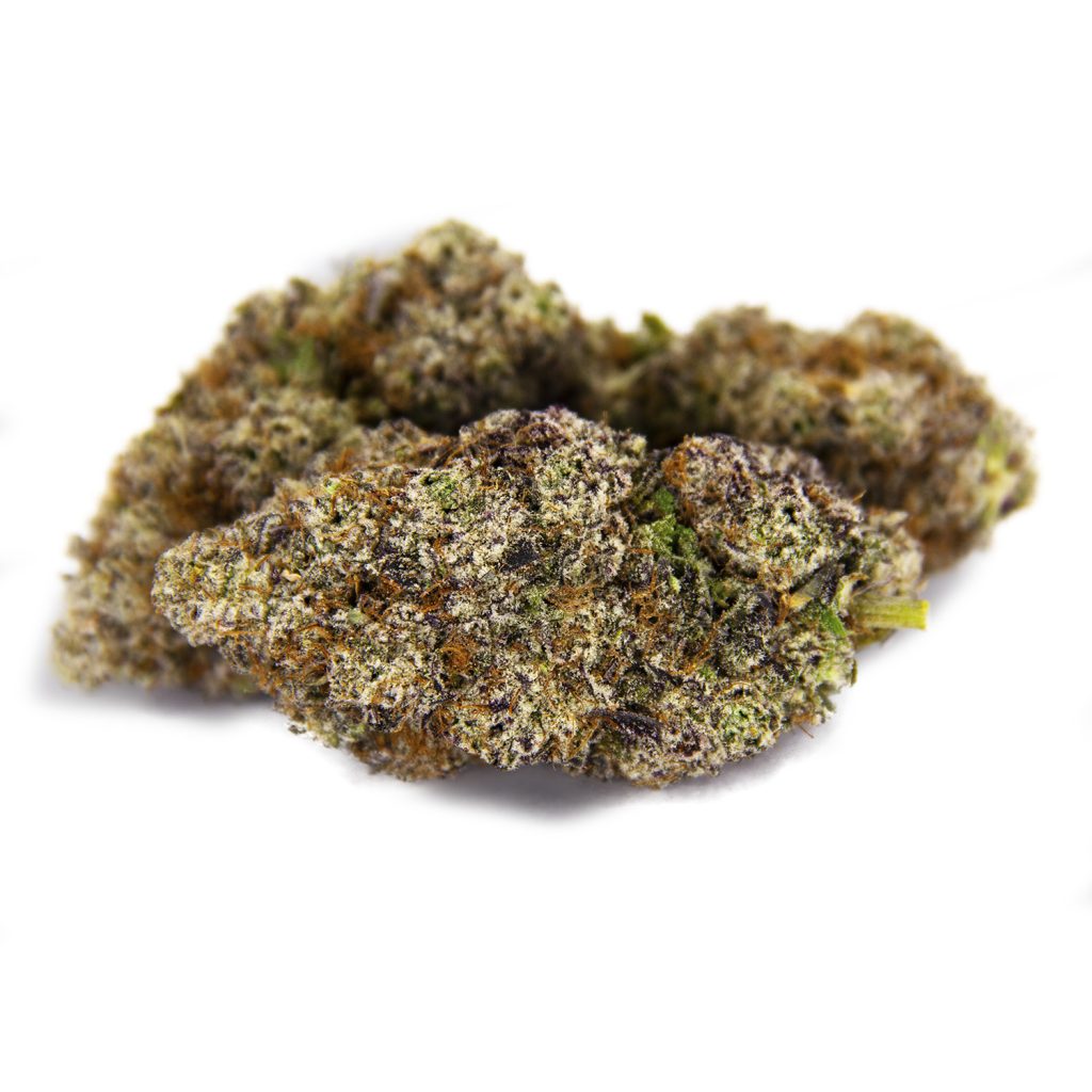 Rocket Chronic