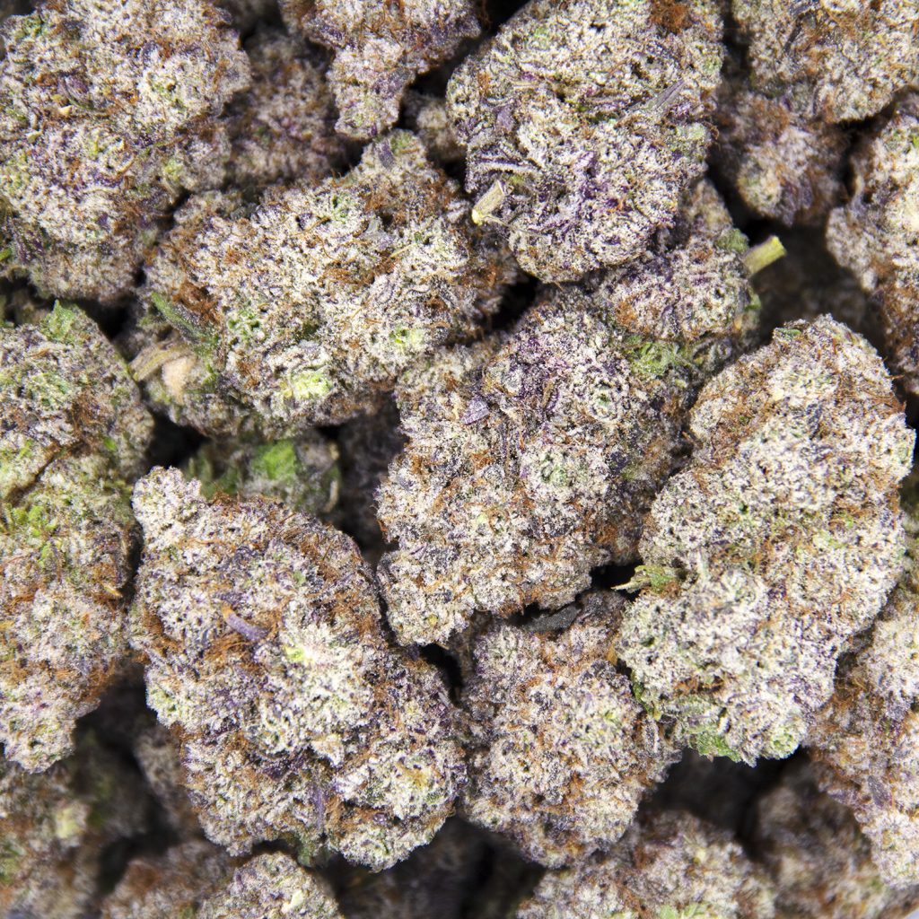 Rocket Chronic