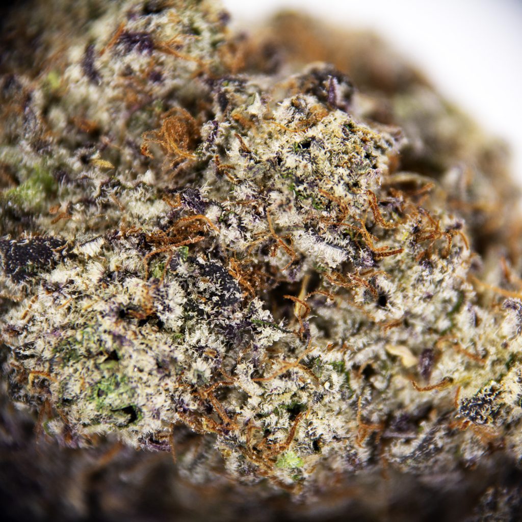 Rocket Chronic
