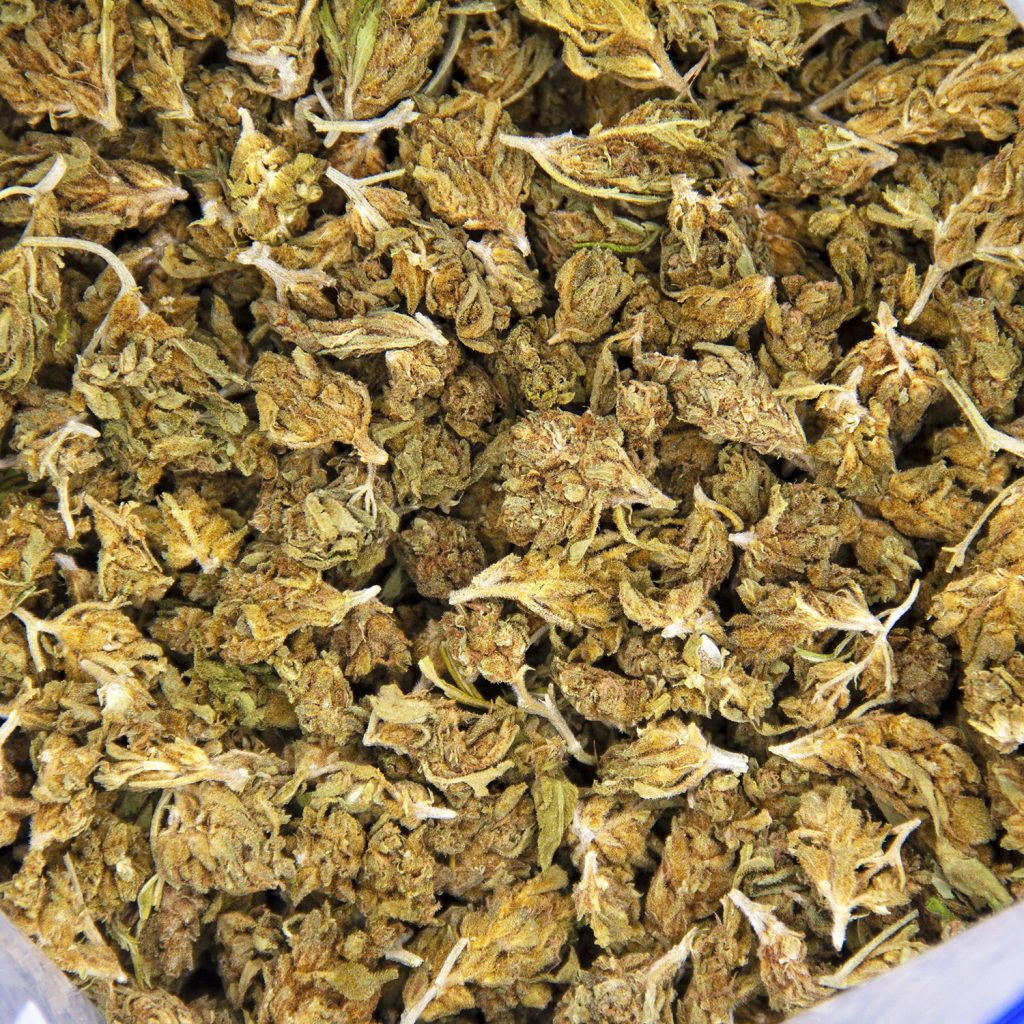 Rocket Chronic