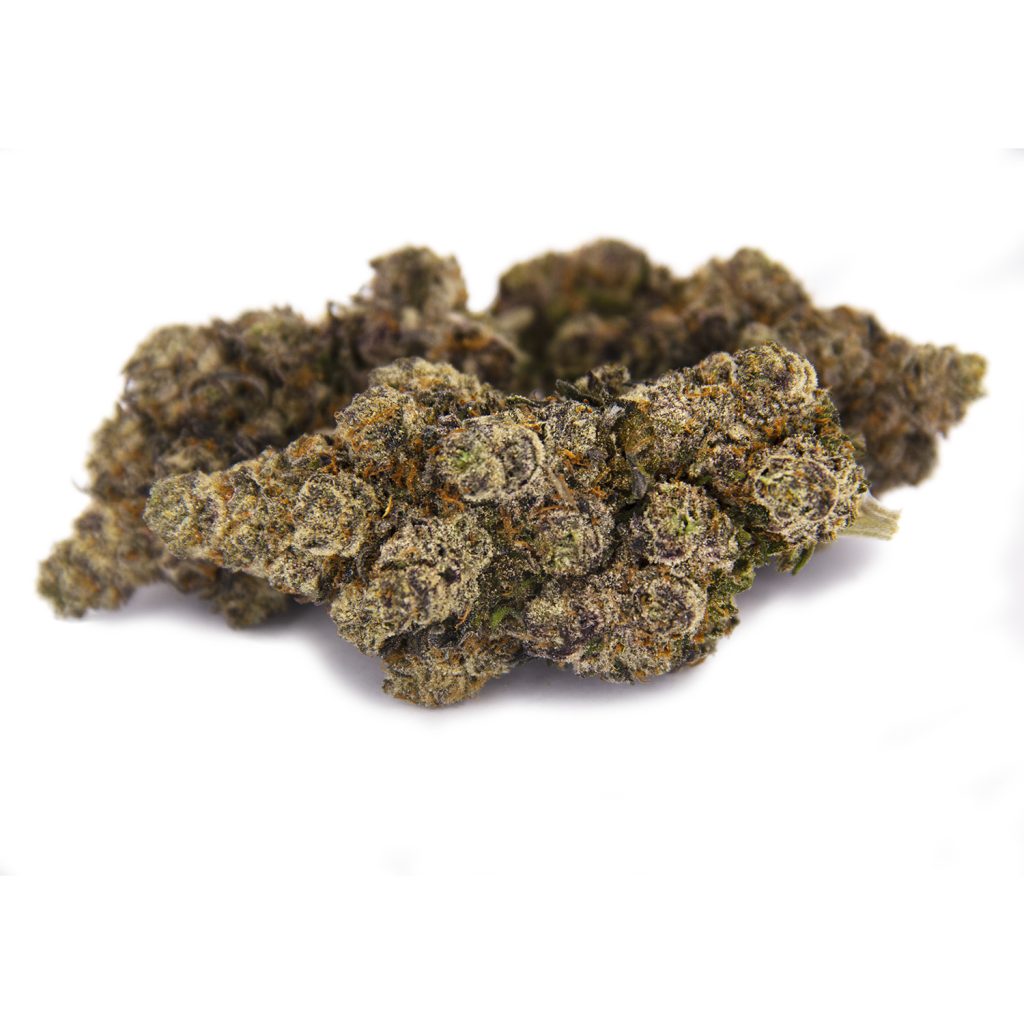 Rocket Chronic