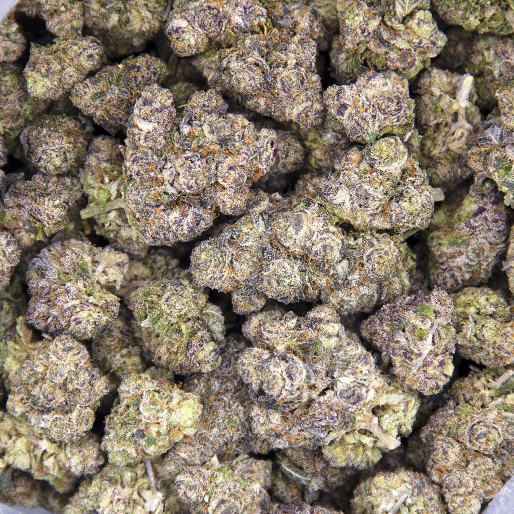 Rocket Chronic