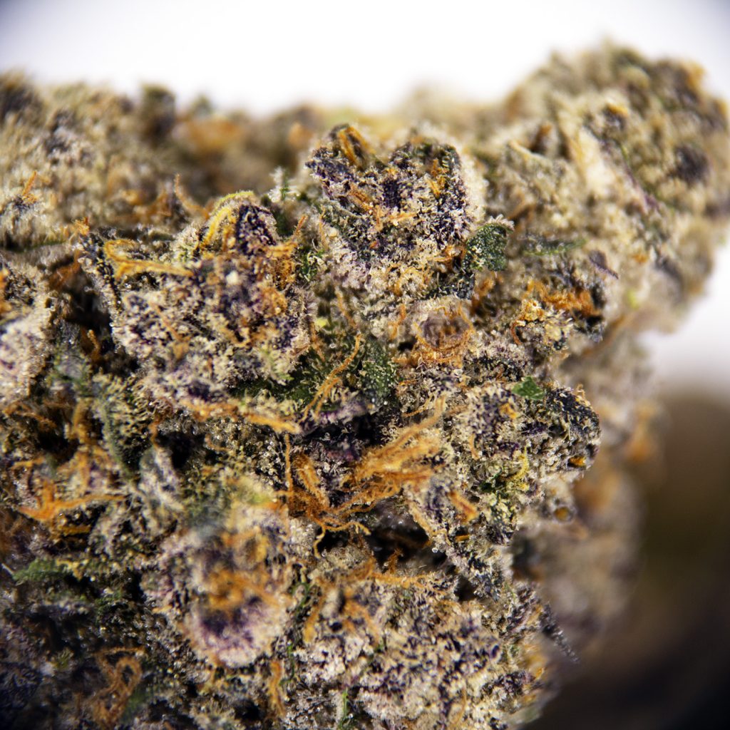 Rocket Chronic