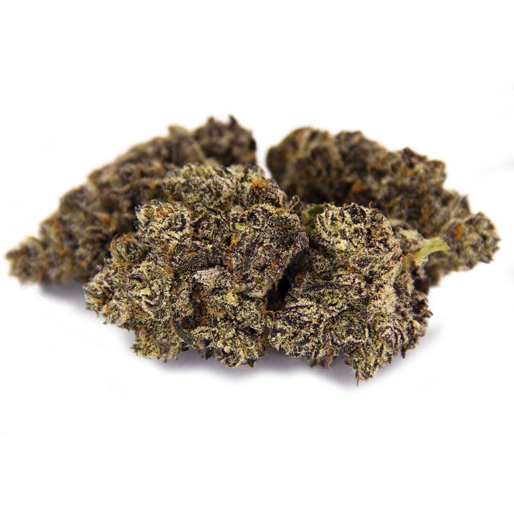 Rocket Chronic