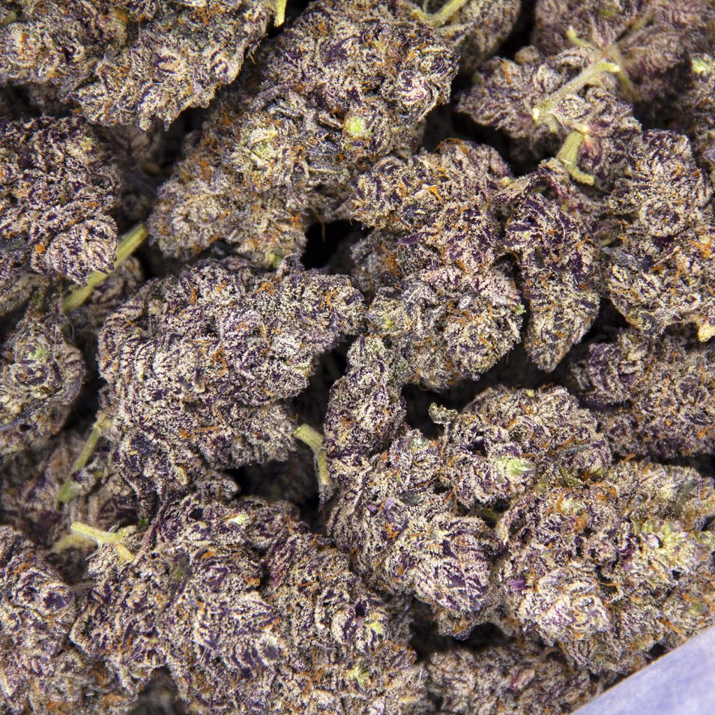 Rocket Chronic