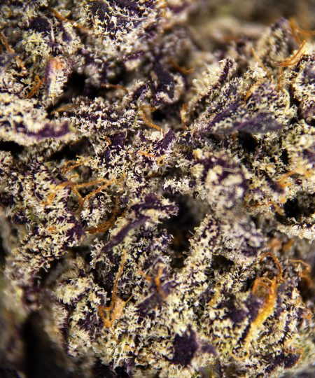 Alternative view of Detroit Diesel AAAA