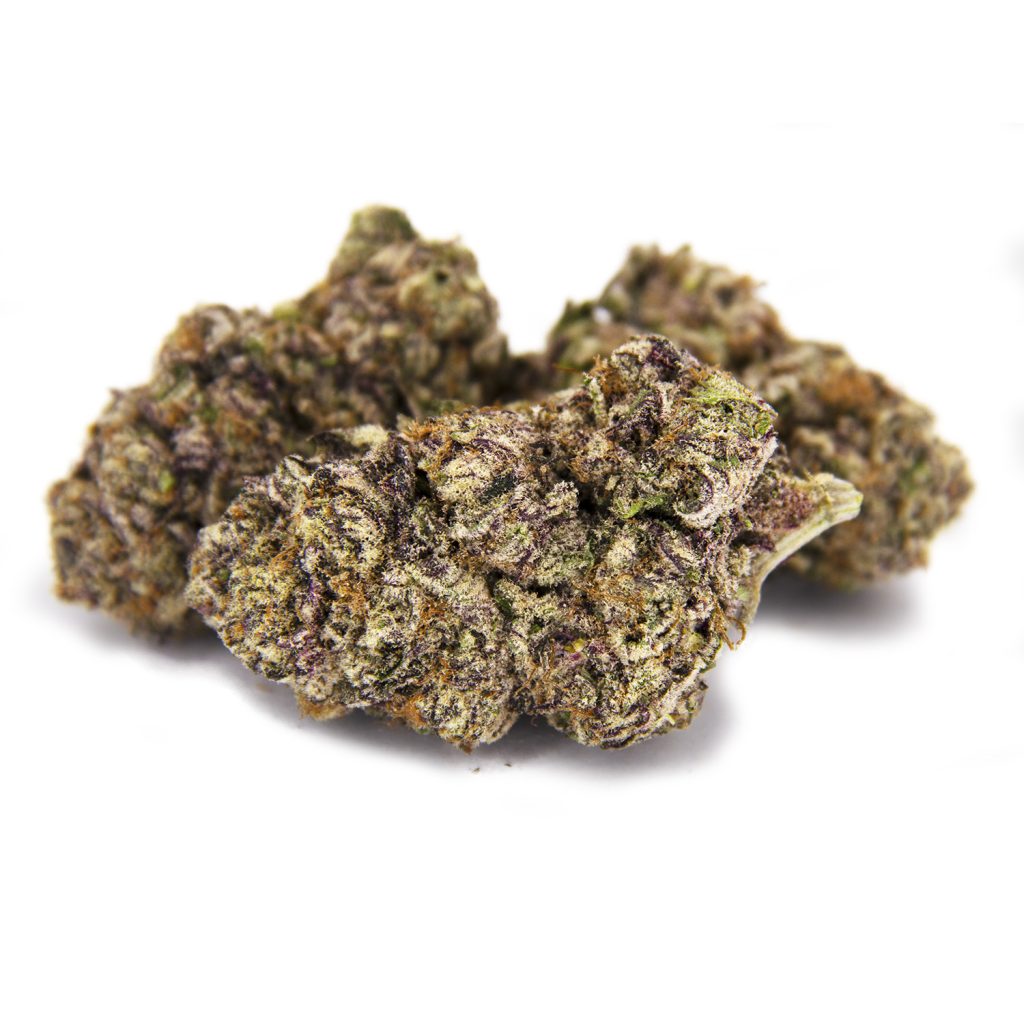 Rocket Chronic