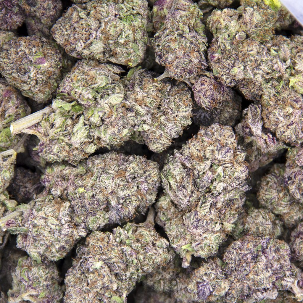 Rocket Chronic