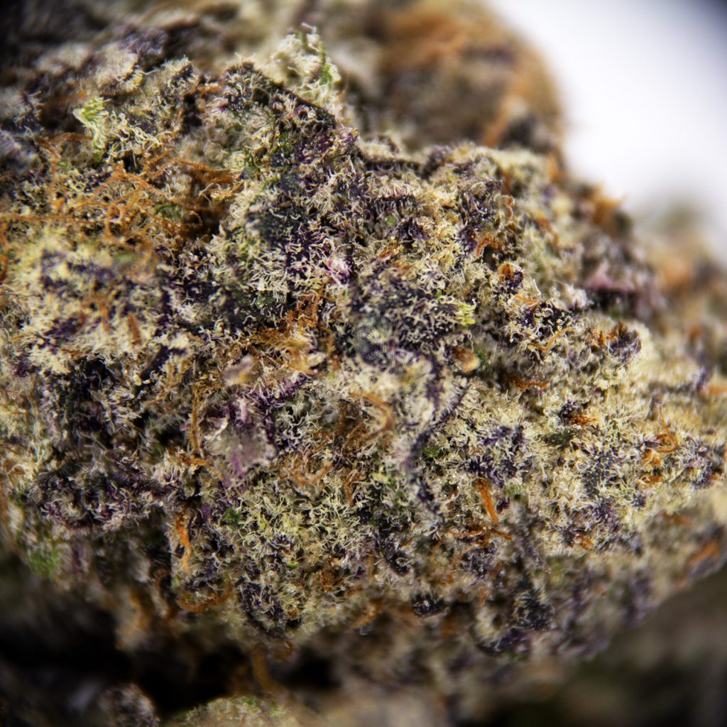 Rocket Chronic