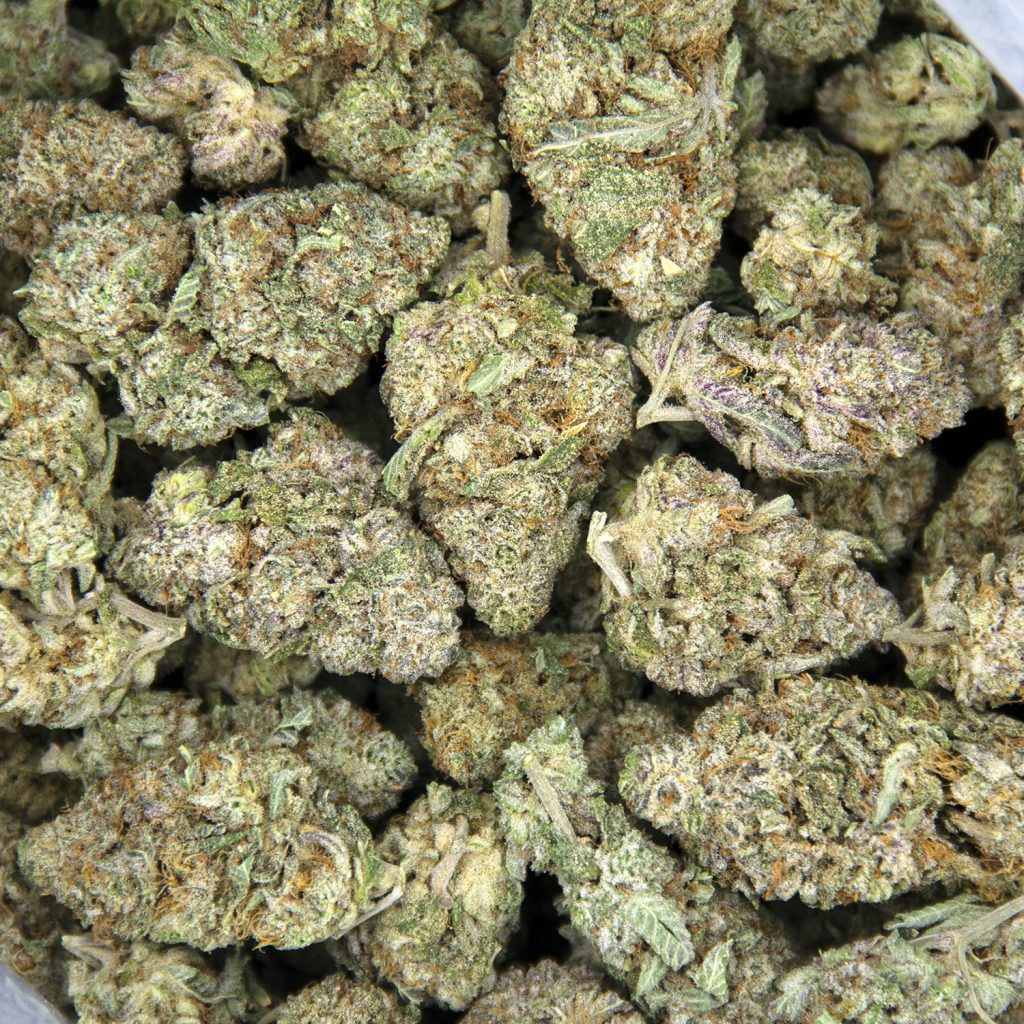 Rocket Chronic
