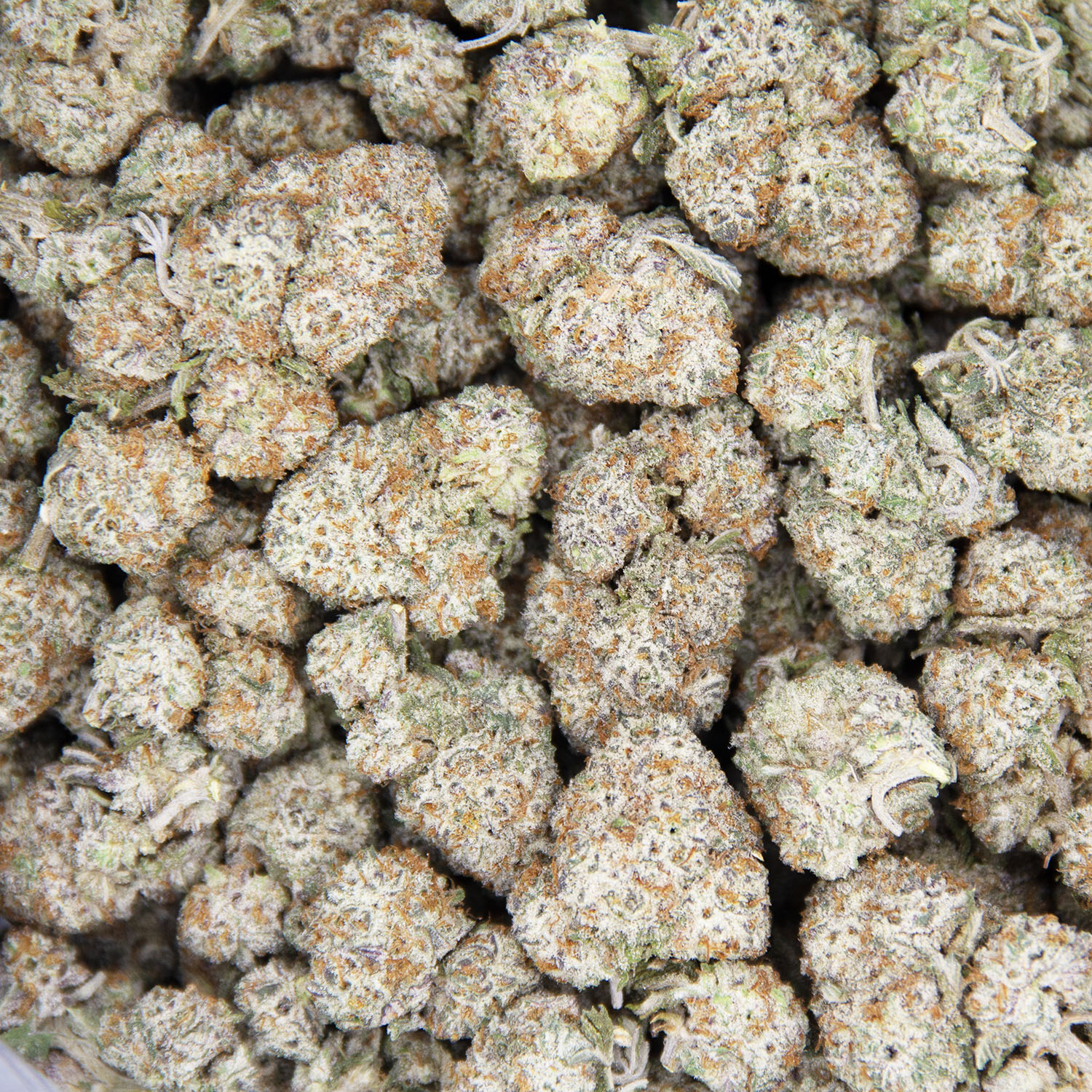 GMO Cookies (mediums) AAA - Image 3