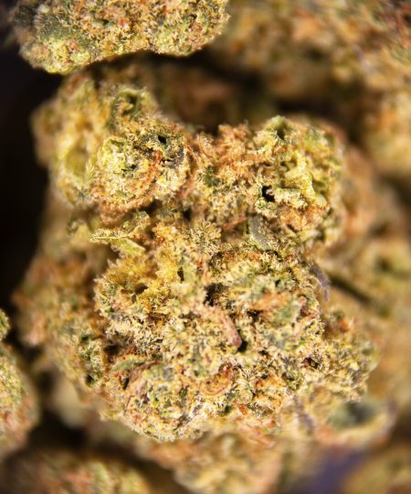 Alternative view of God's Green Crack (smalls) AA+