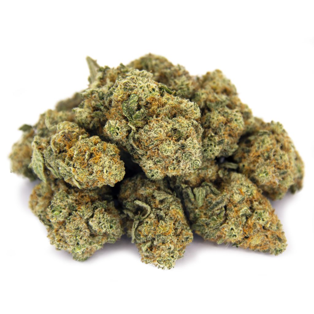 Rocket Chronic