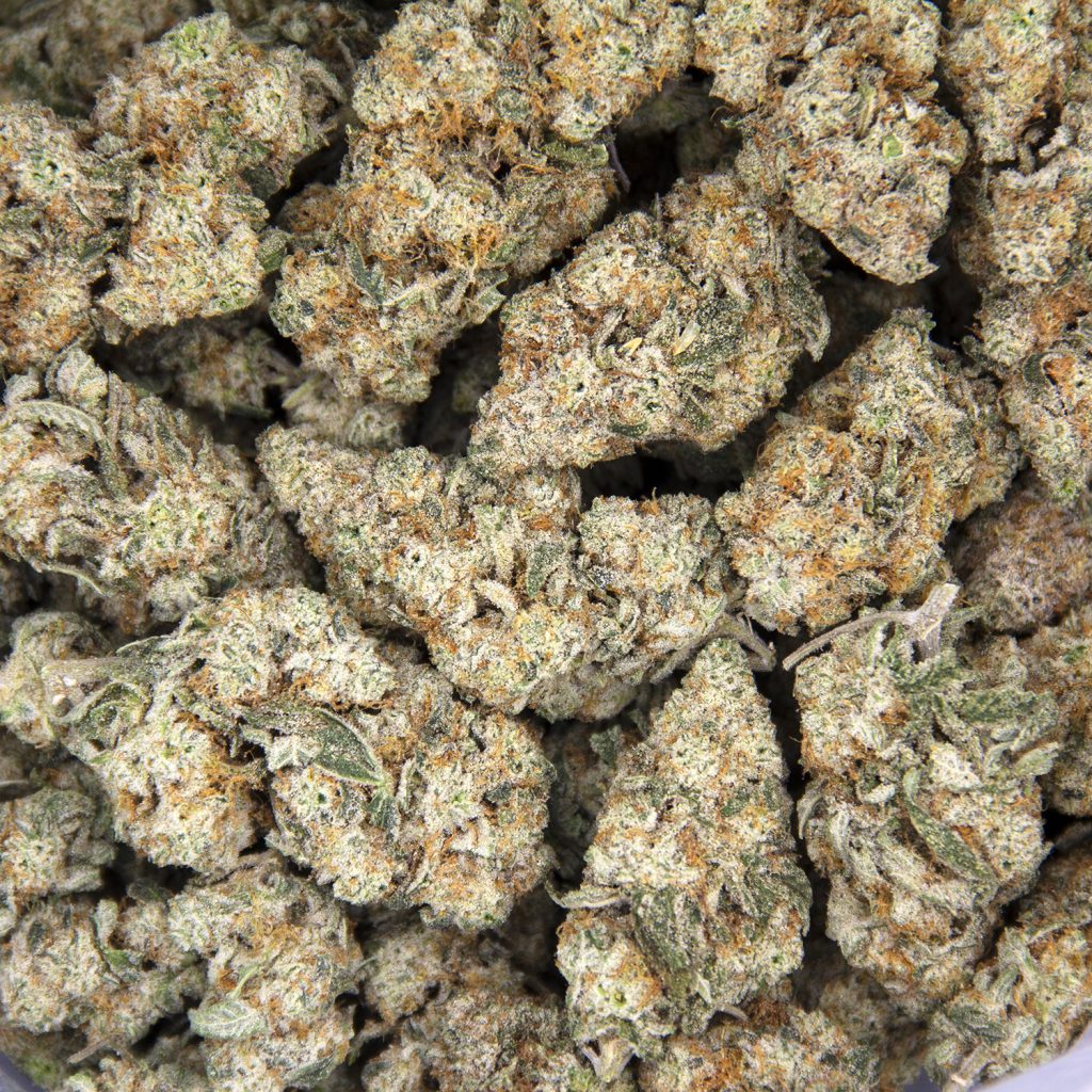 Rocket Chronic