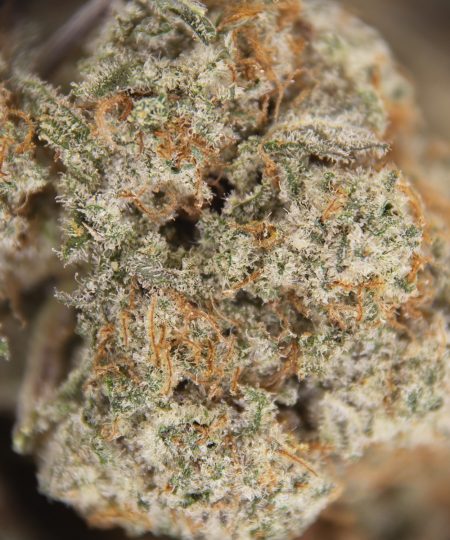 Alternative view of MAC (mediums) AAA