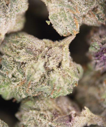 Alternative view of MKU (popcorn) AAA