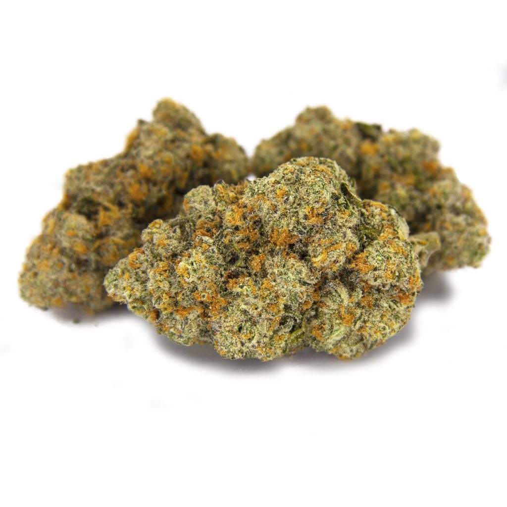 Rocket Chronic