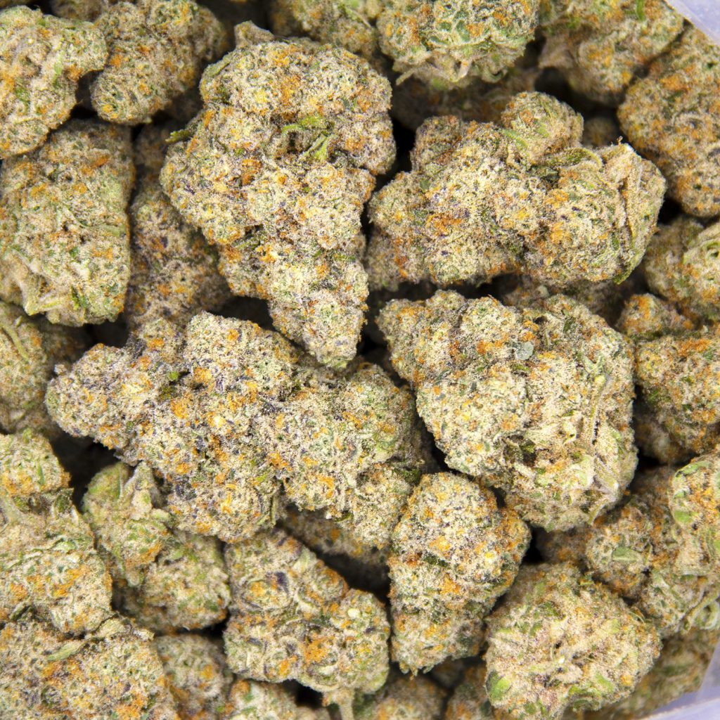 Rocket Chronic