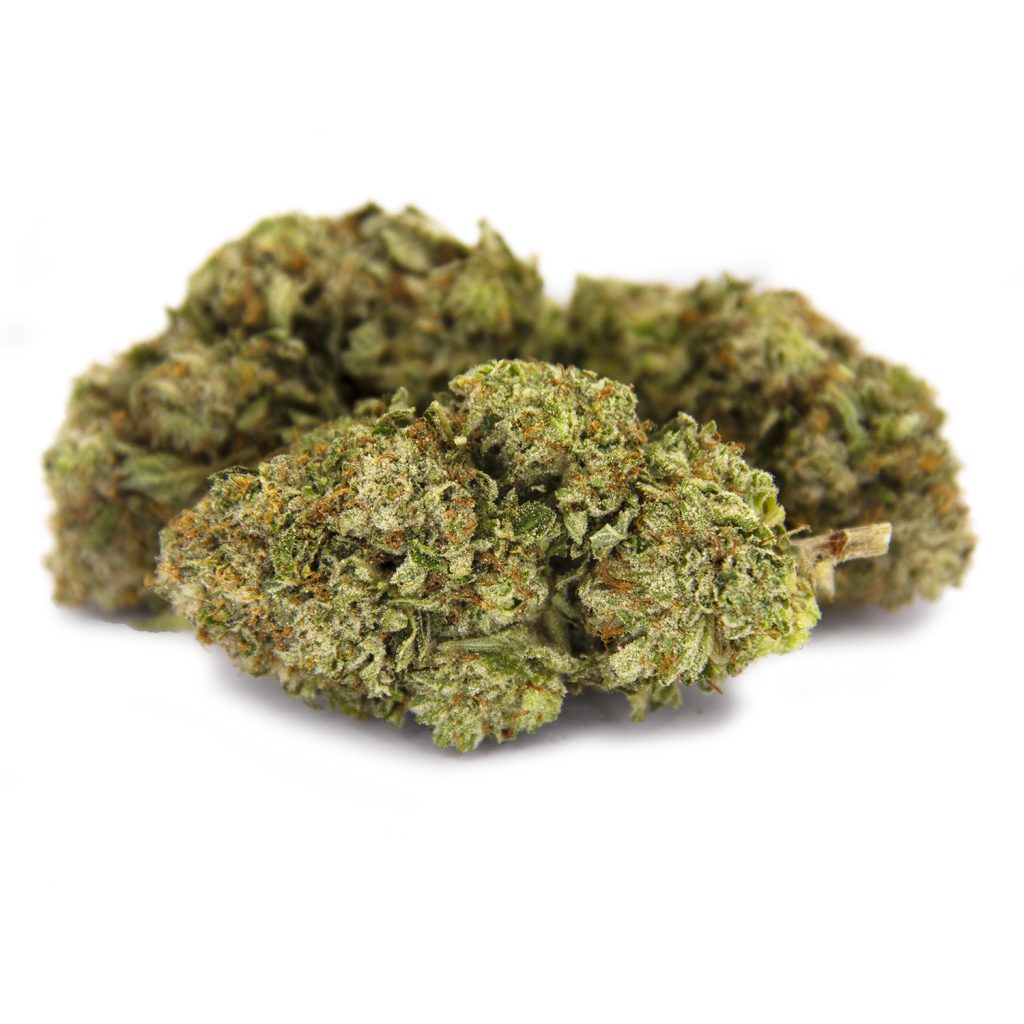 Rocket Chronic