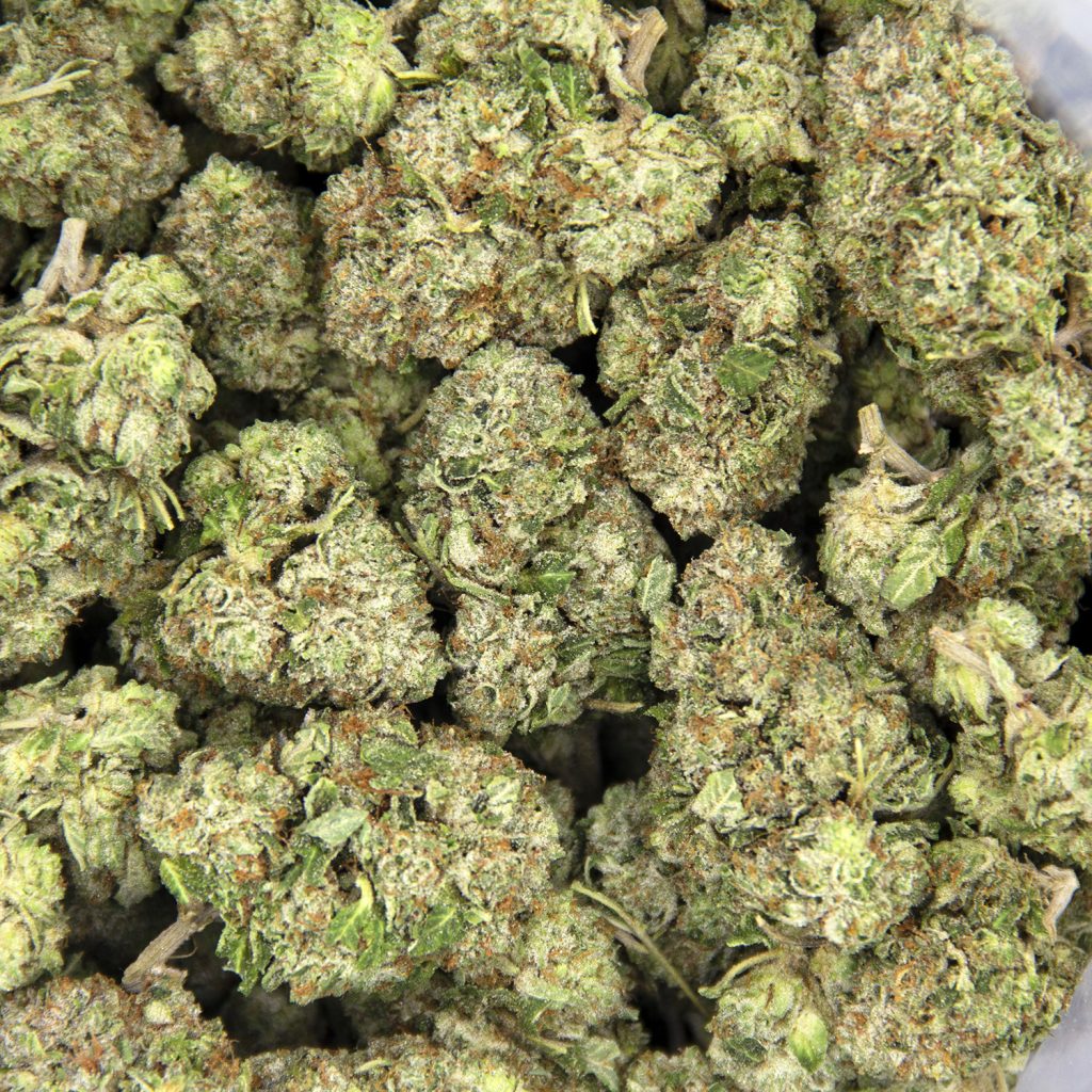Rocket Chronic
