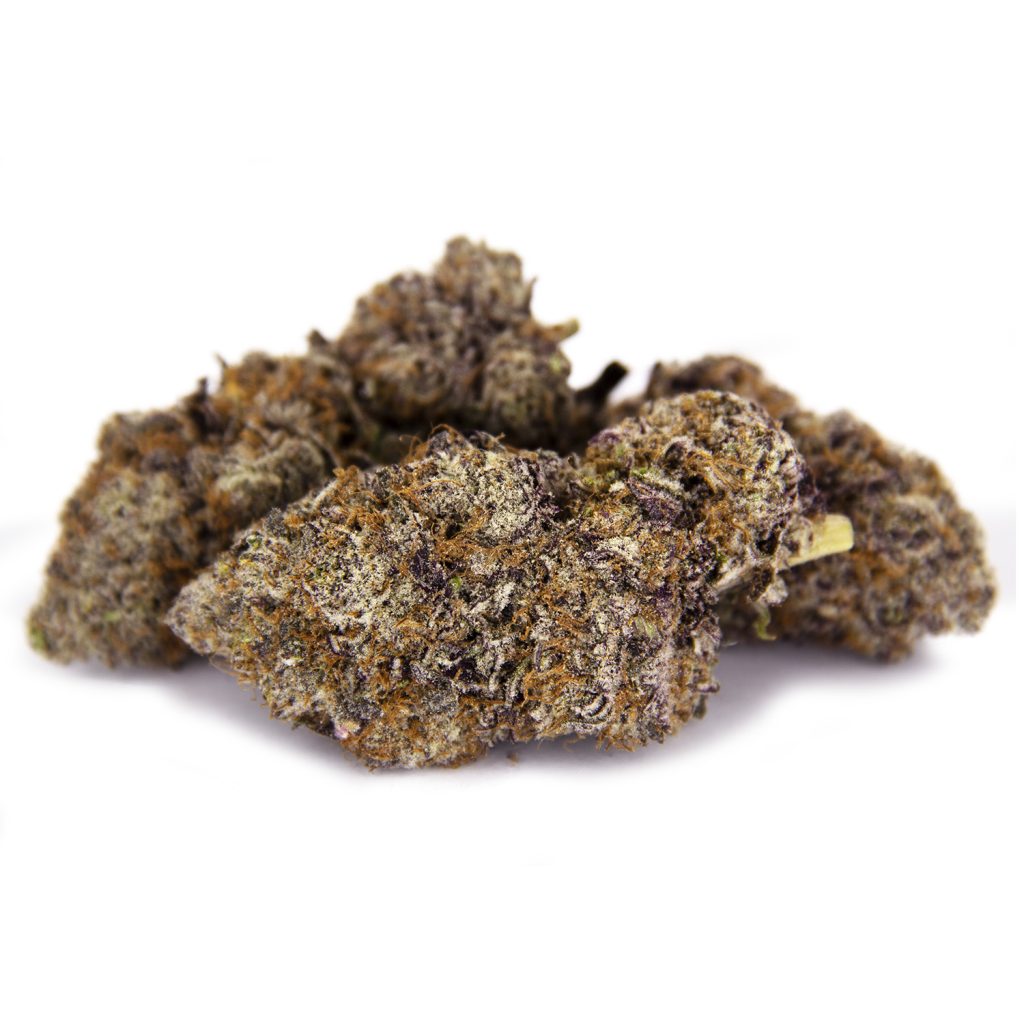 Rocket Chronic