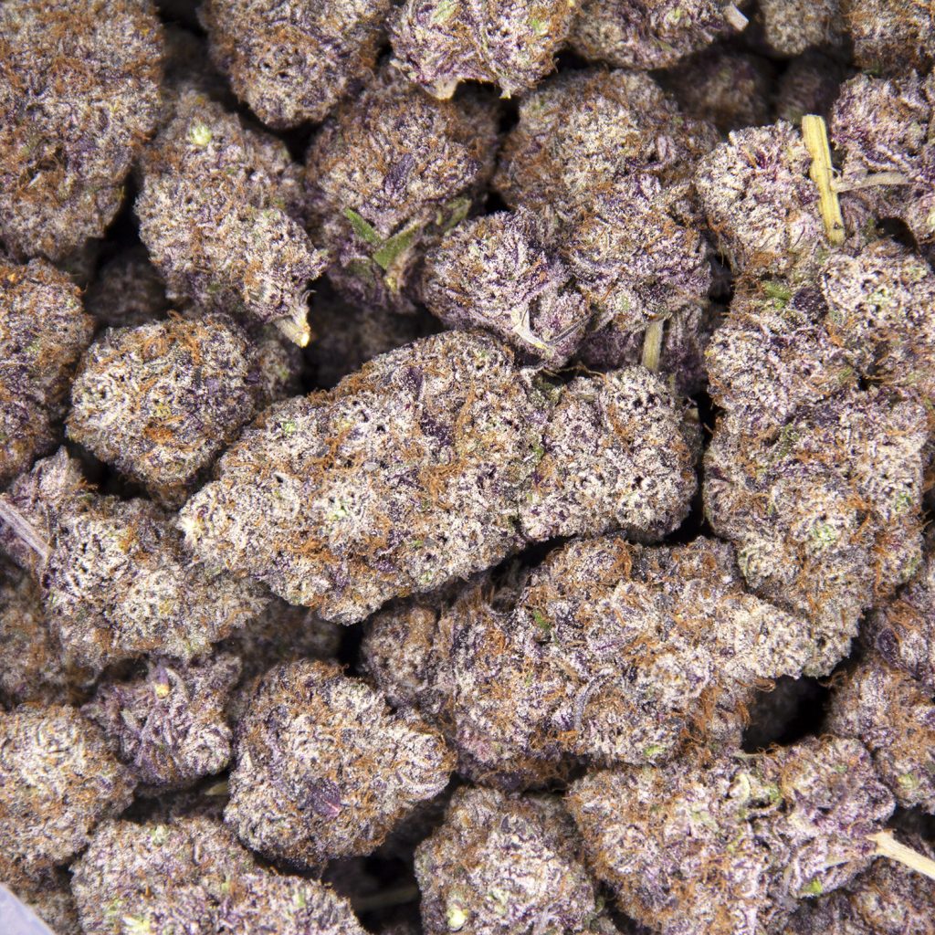 Rocket Chronic
