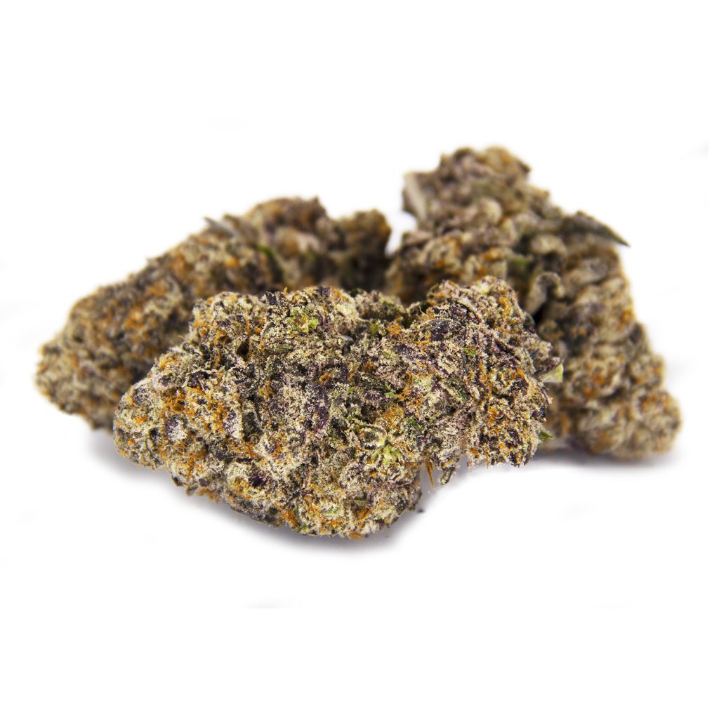 Rocket Chronic