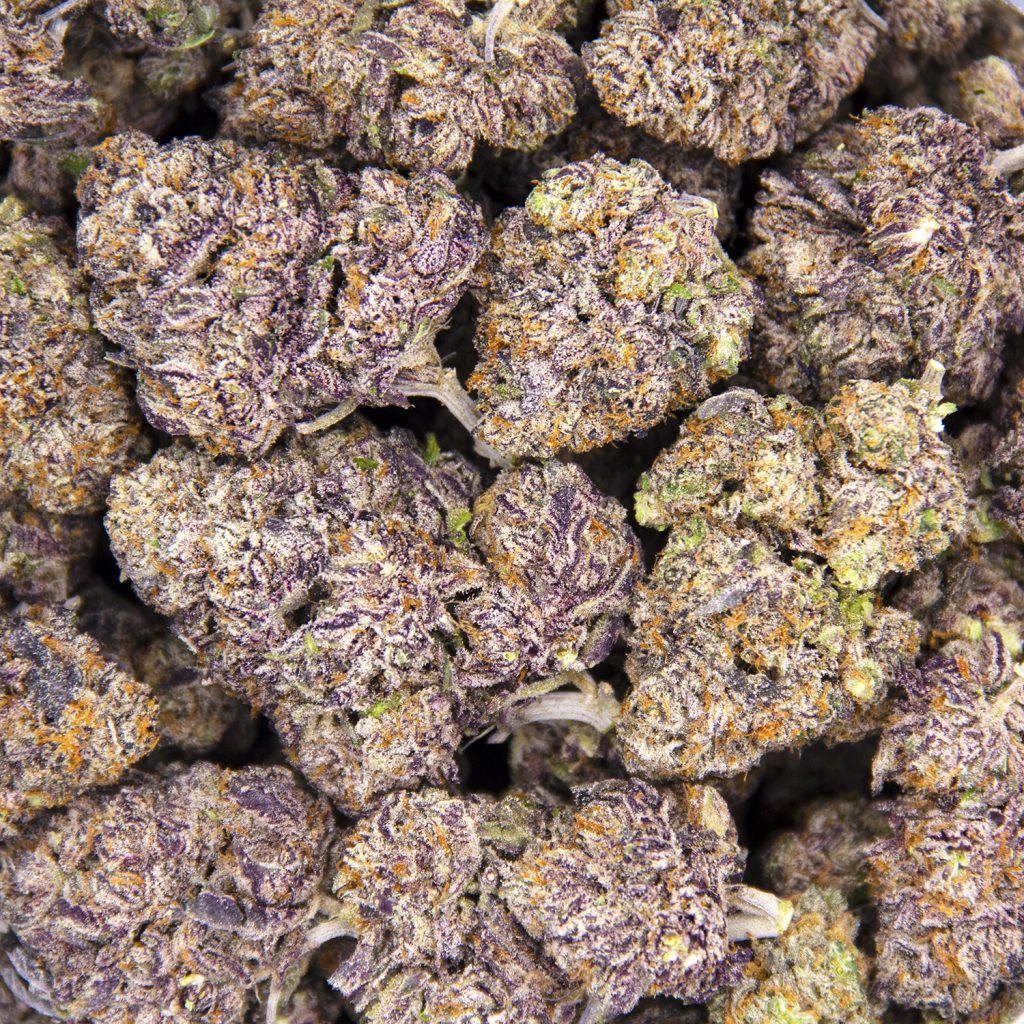 Rocket Chronic