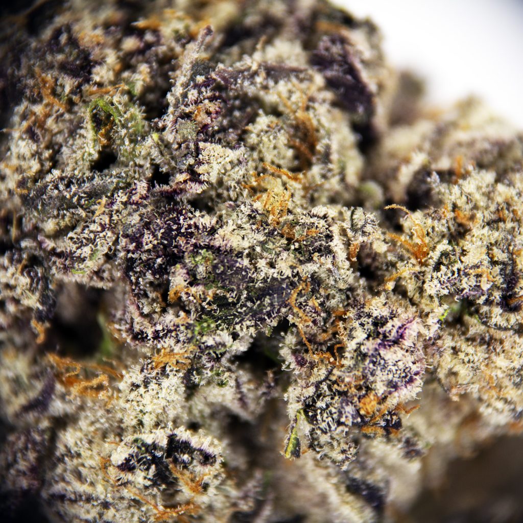 Rocket Chronic