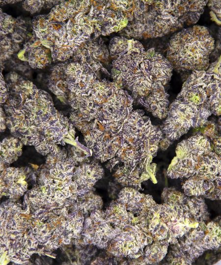 Alternative view of Purple Haze AAAA