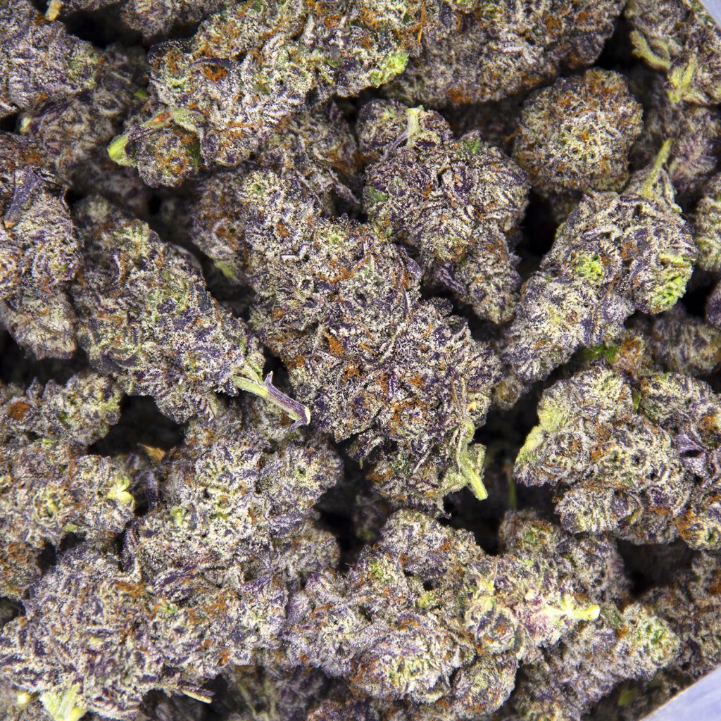 Rocket Chronic