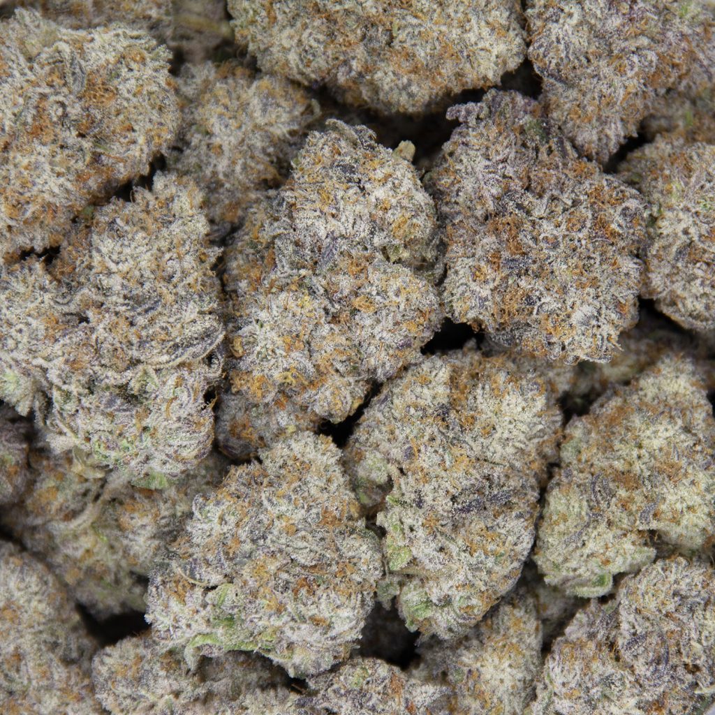 Rocket Chronic