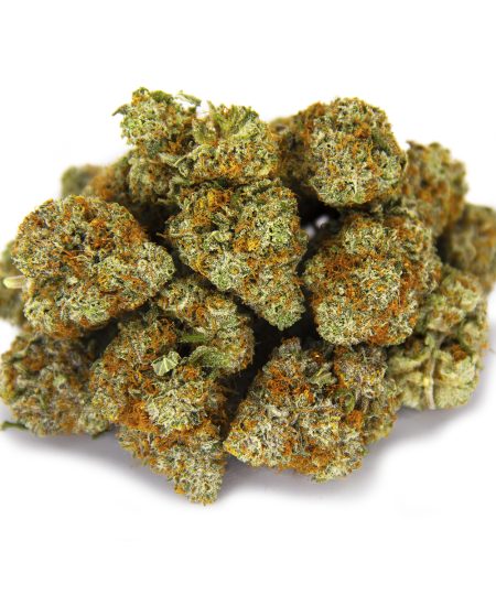 Scout Master (mediums) AAA