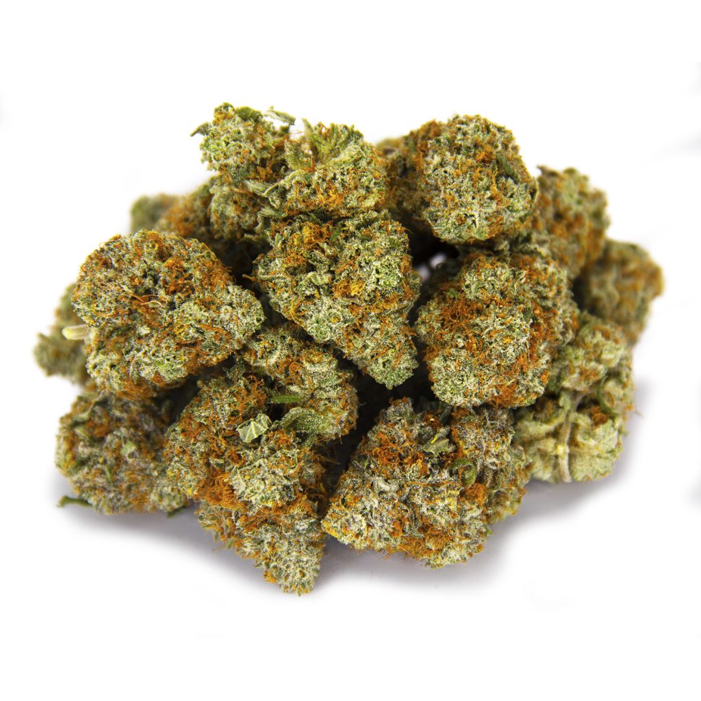 Rocket Chronic