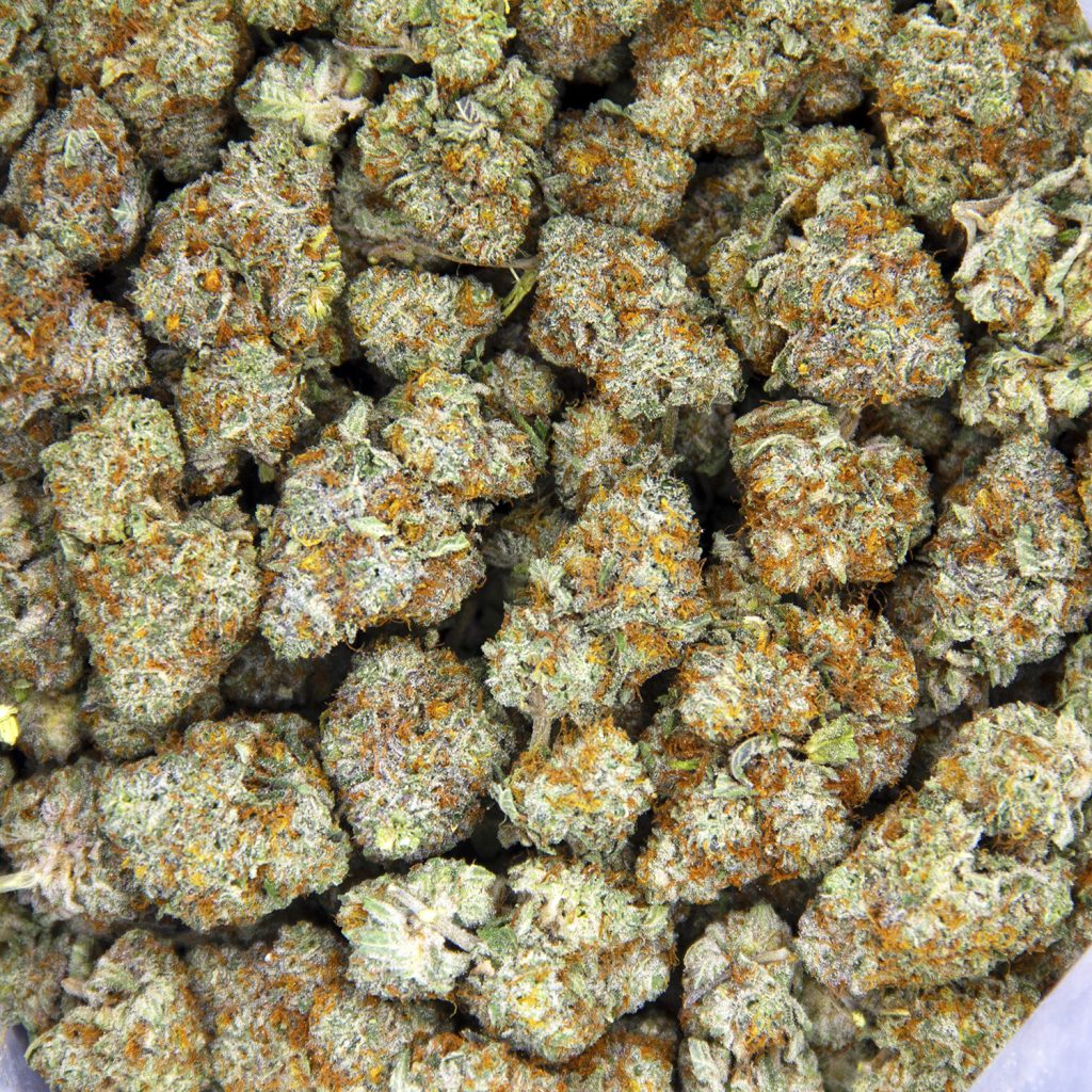 Rocket Chronic