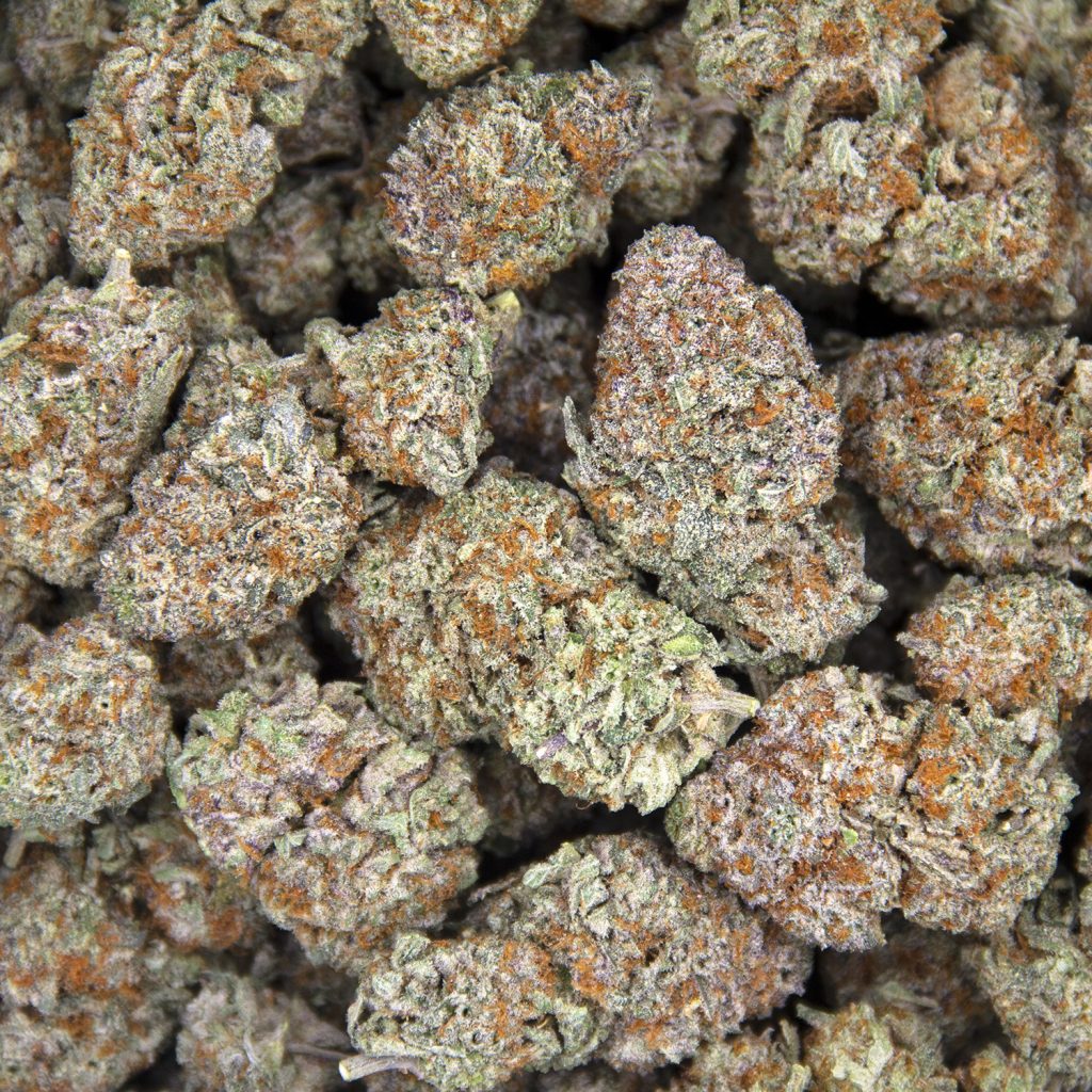 Rocket Chronic