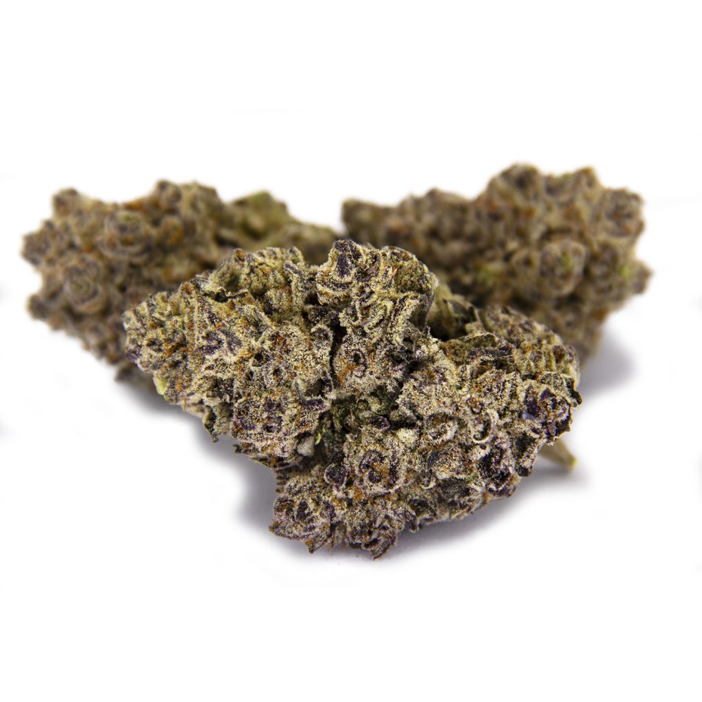 Rocket Chronic