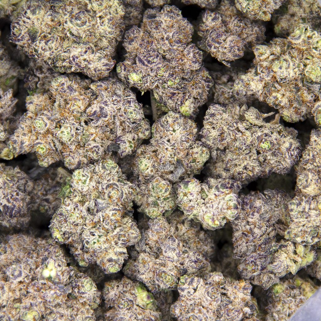 Rocket Chronic
