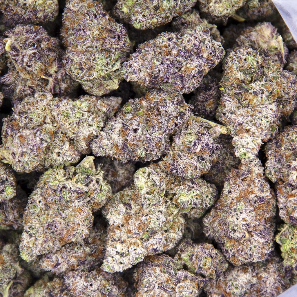Rocket Chronic