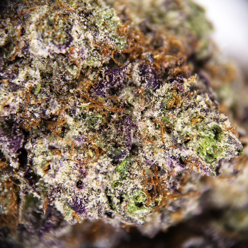 Rocket Chronic