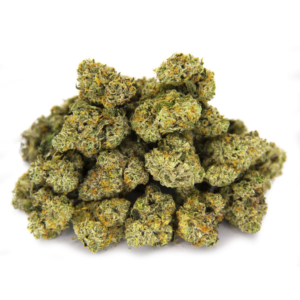 Rocket Chronic