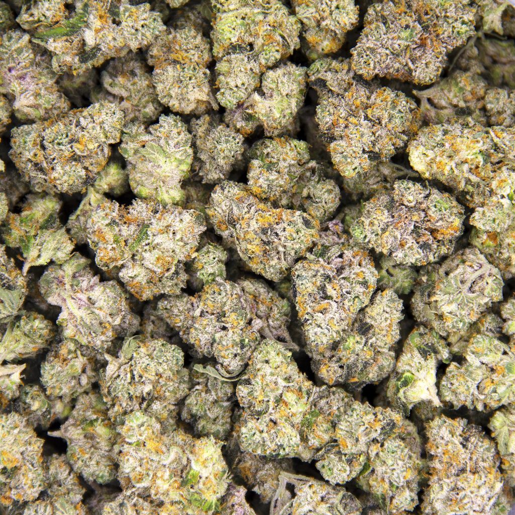 Rocket Chronic
